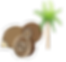 ibg_edited.png